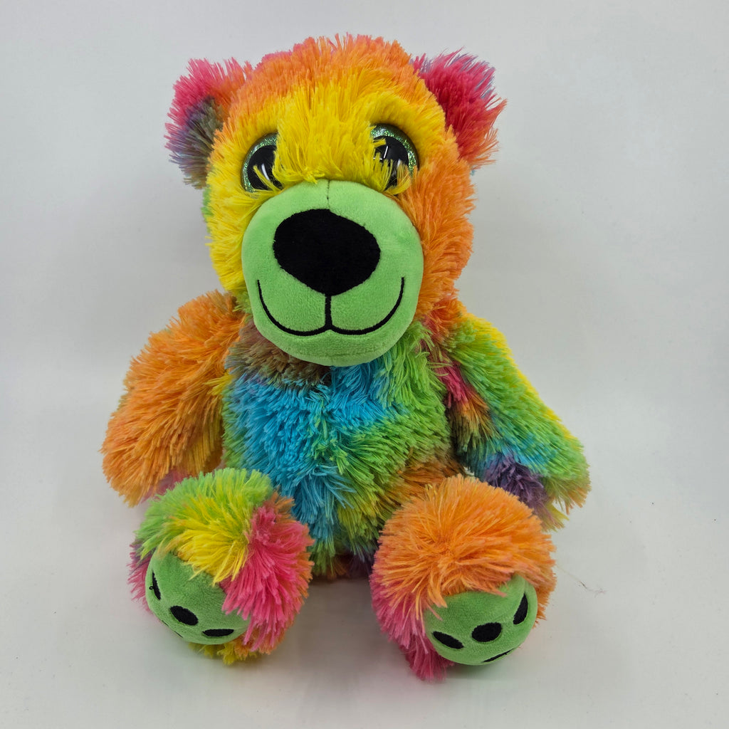 Rainbow Teddy Bear Plush Toy