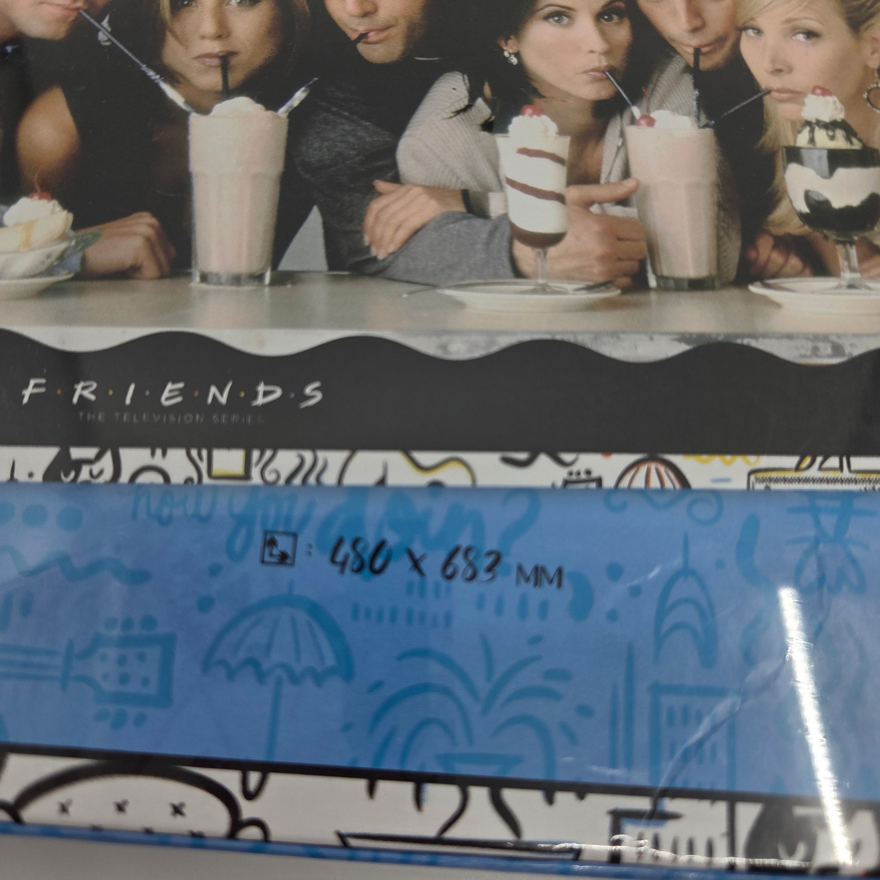 Friends 1000 Piece Puzzle