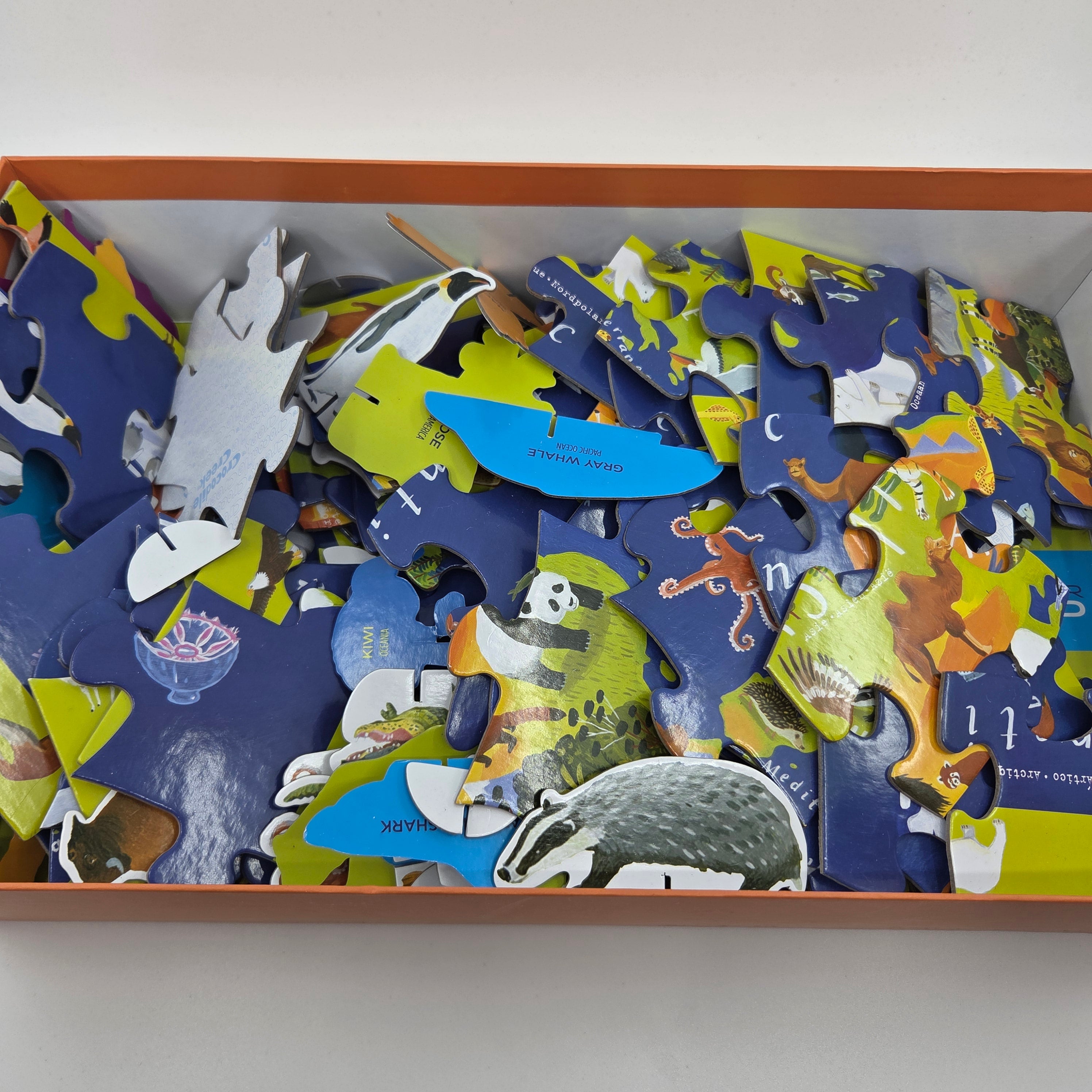 Discover The World 100 Piece Puzzle & Play