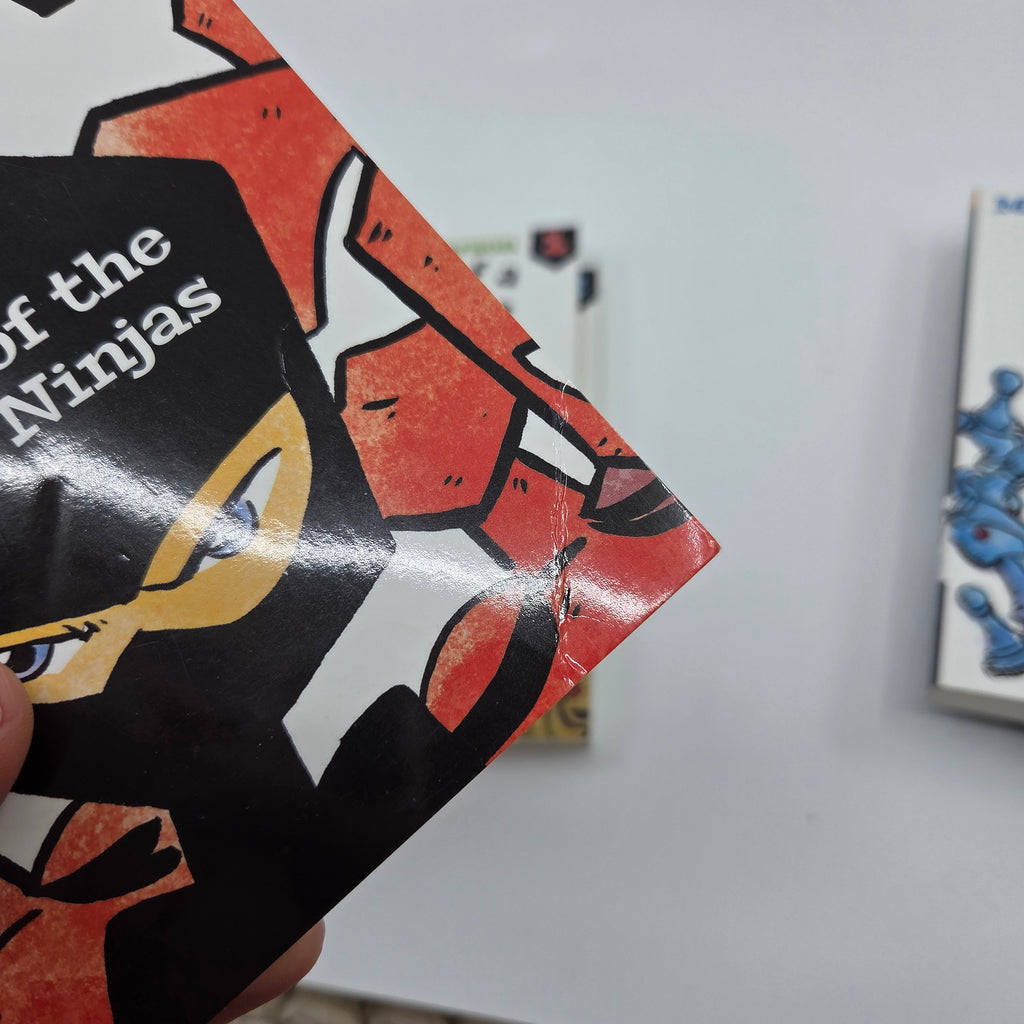 Diary of a Ninja Book Set