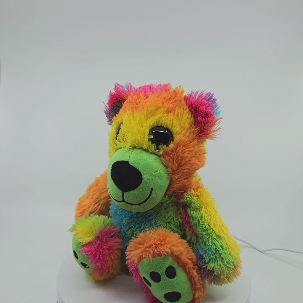 Rainbow Teddy Bear Plush Toy